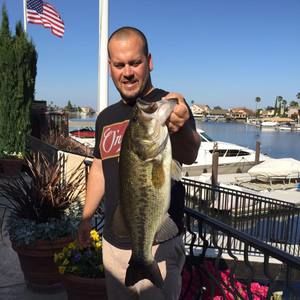 Meet your Posher, Alex